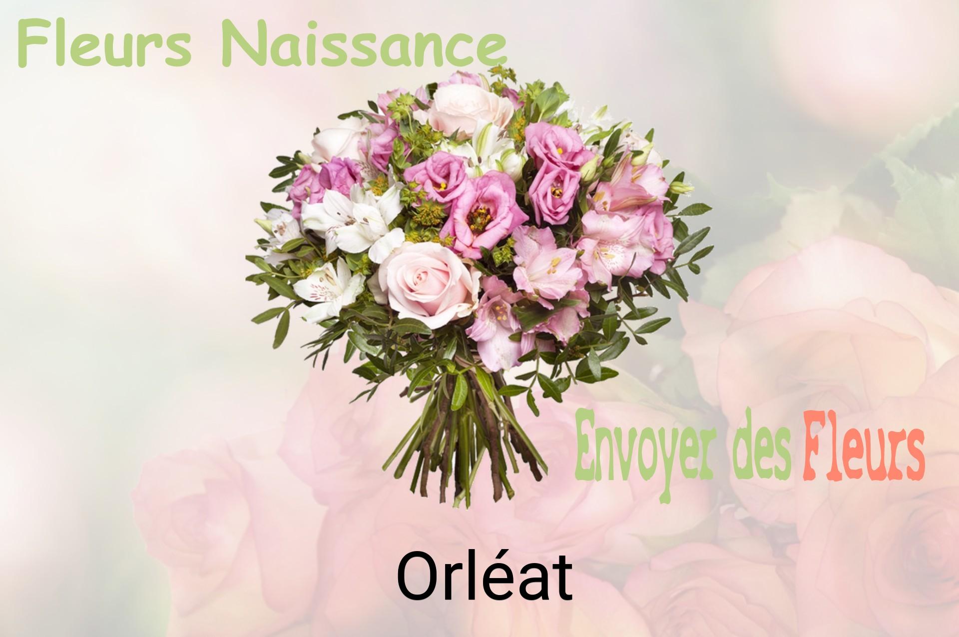 Bouquet de fleurs de naissance livré à Orléat